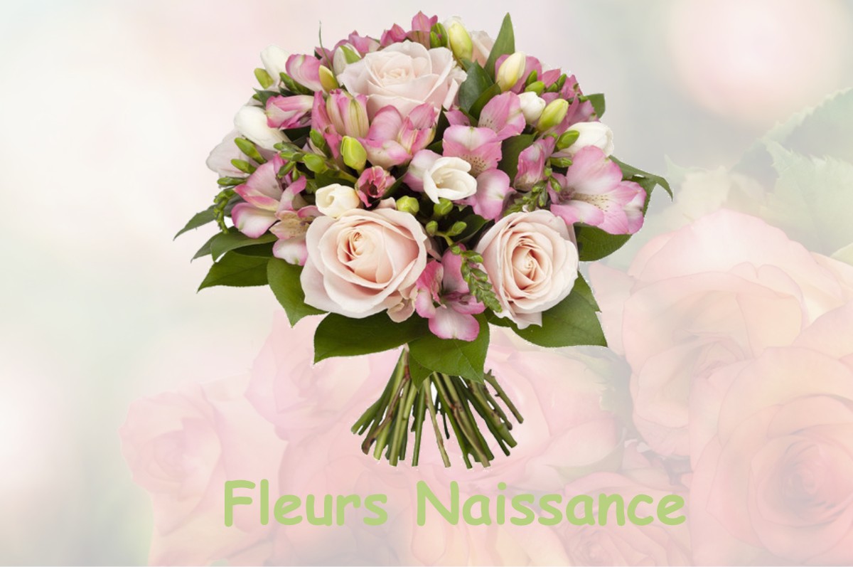 fleurs naissance VARENNES-SUR-LOIRE